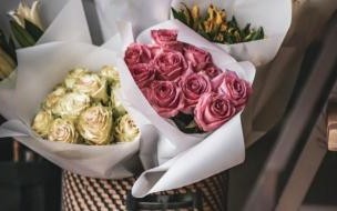 花店关门了花继续开什么意思 花店不开了花继续开