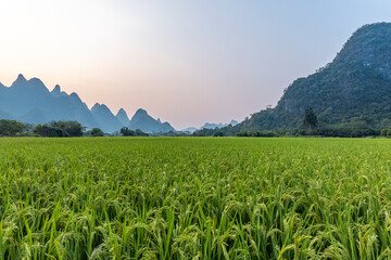 2003年天津中医药大学录取分数线 天津中医药大学分数线